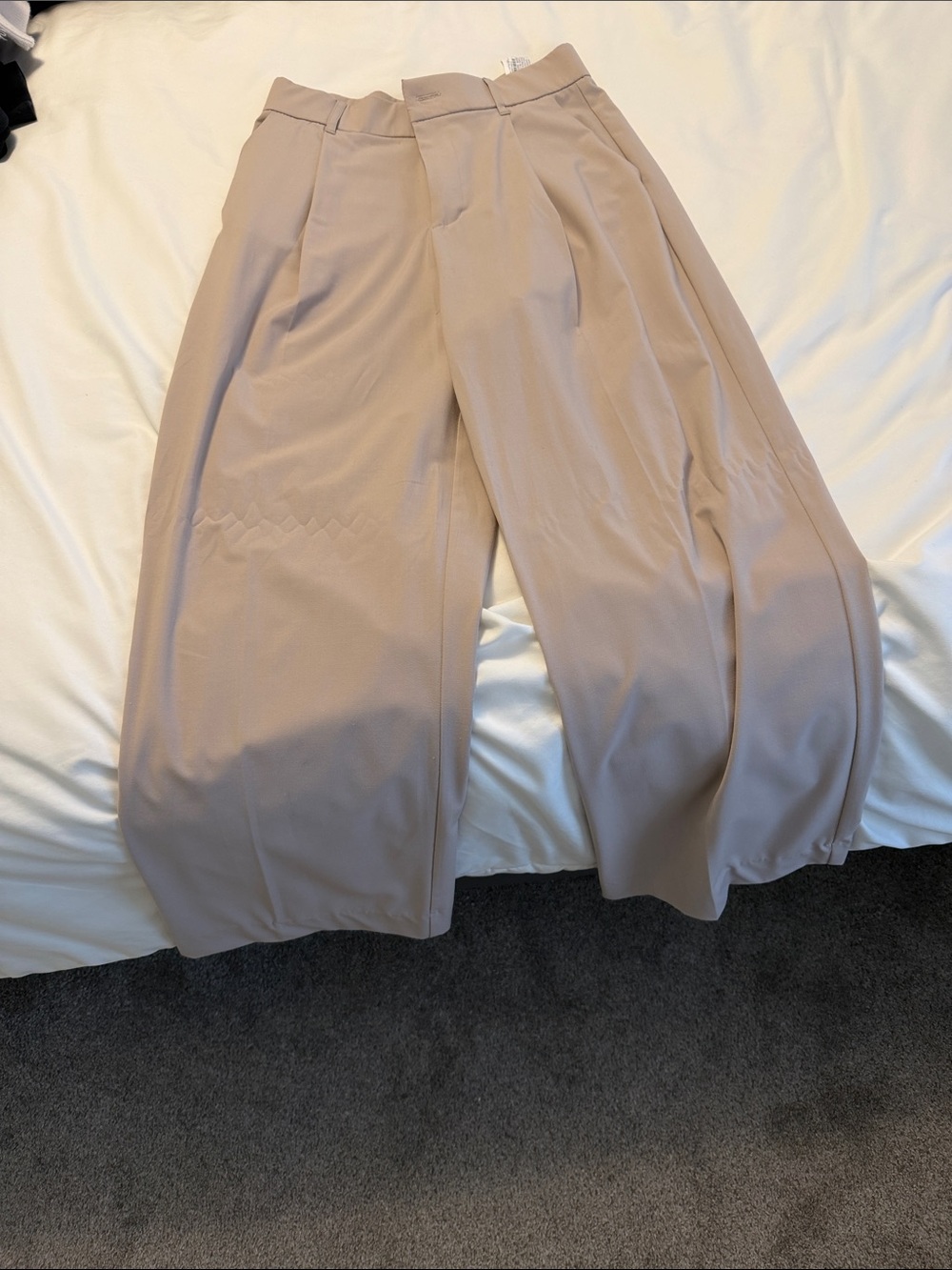 Zara Wide-Leg High-Waist Pants in Beige